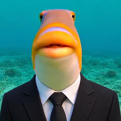 Fi