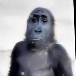 ?