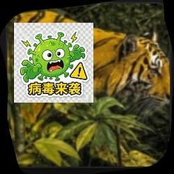 币安病毒 / BNB