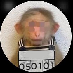 MONKENCR