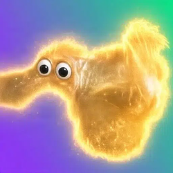 SOLENOSTOMUS