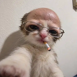 Unccat