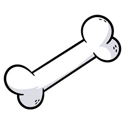 bone
