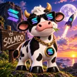 SOLMOO