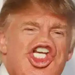 希纳 / djt