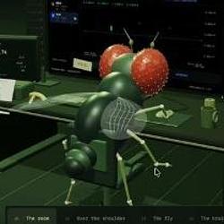 Degenfly