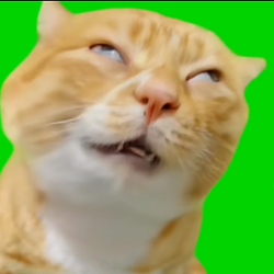 a/cat