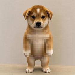INUDE