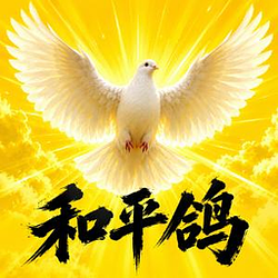 和平鸽N