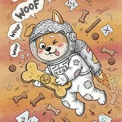 DogeInSock / SOL