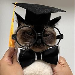 Pawfessor