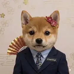 Startpup
