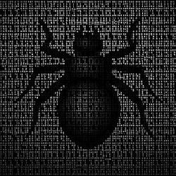Bug