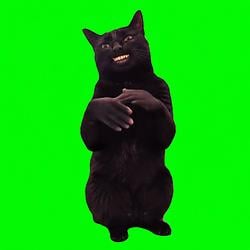 CLAP