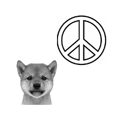 #pdog