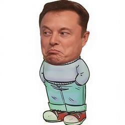 CHILLMUSK