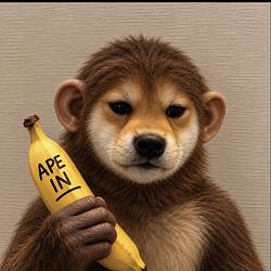 ape inu