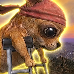 CHIHUAHUA / SOL