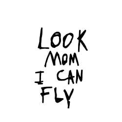 FLY