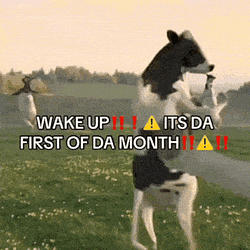 Ca$hCow