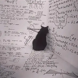 ThesisCat