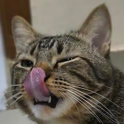 SMLEM