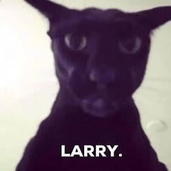 LARRY