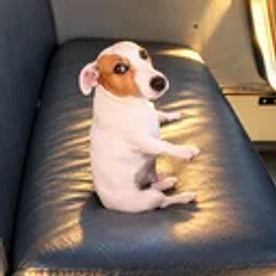 NewGuy