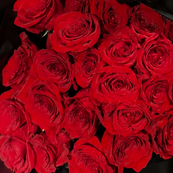 Roses