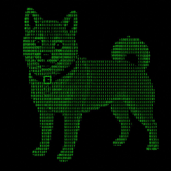 qDOG