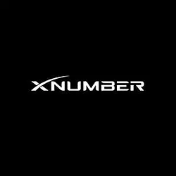 𝕏NUMBER