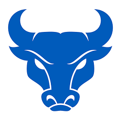 BLUEBULL / SOL