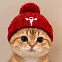 TCAT