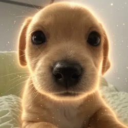 BILLY