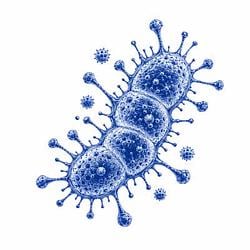 INFECT