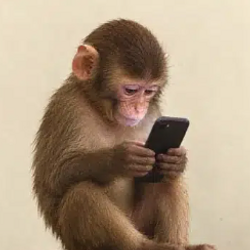 FONE