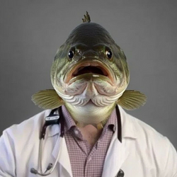 BASS