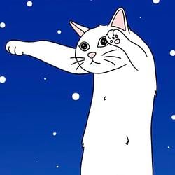 Longcatp / SOL