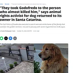 GODOFREDO