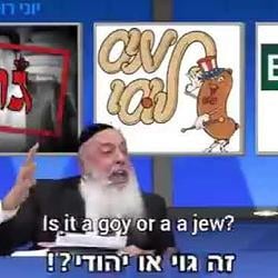 Goy