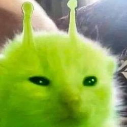 glorp