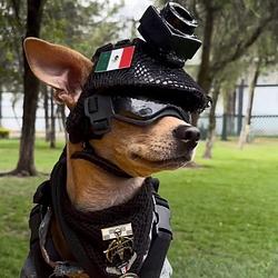commando
