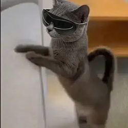 vrcat