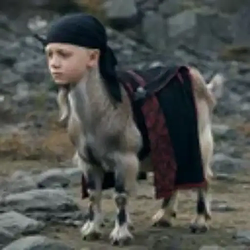 RobbinDaHood / USDG