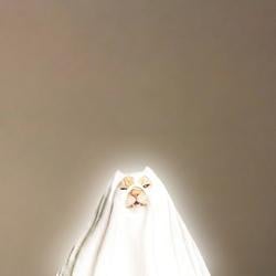 ㅤㅤ