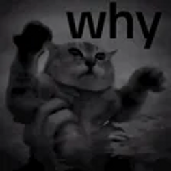 whycat
