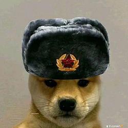 ВИФ