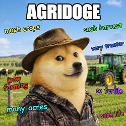 Agridoge / SOL