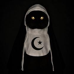CATISLAM