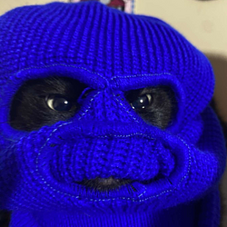 XMRCAT